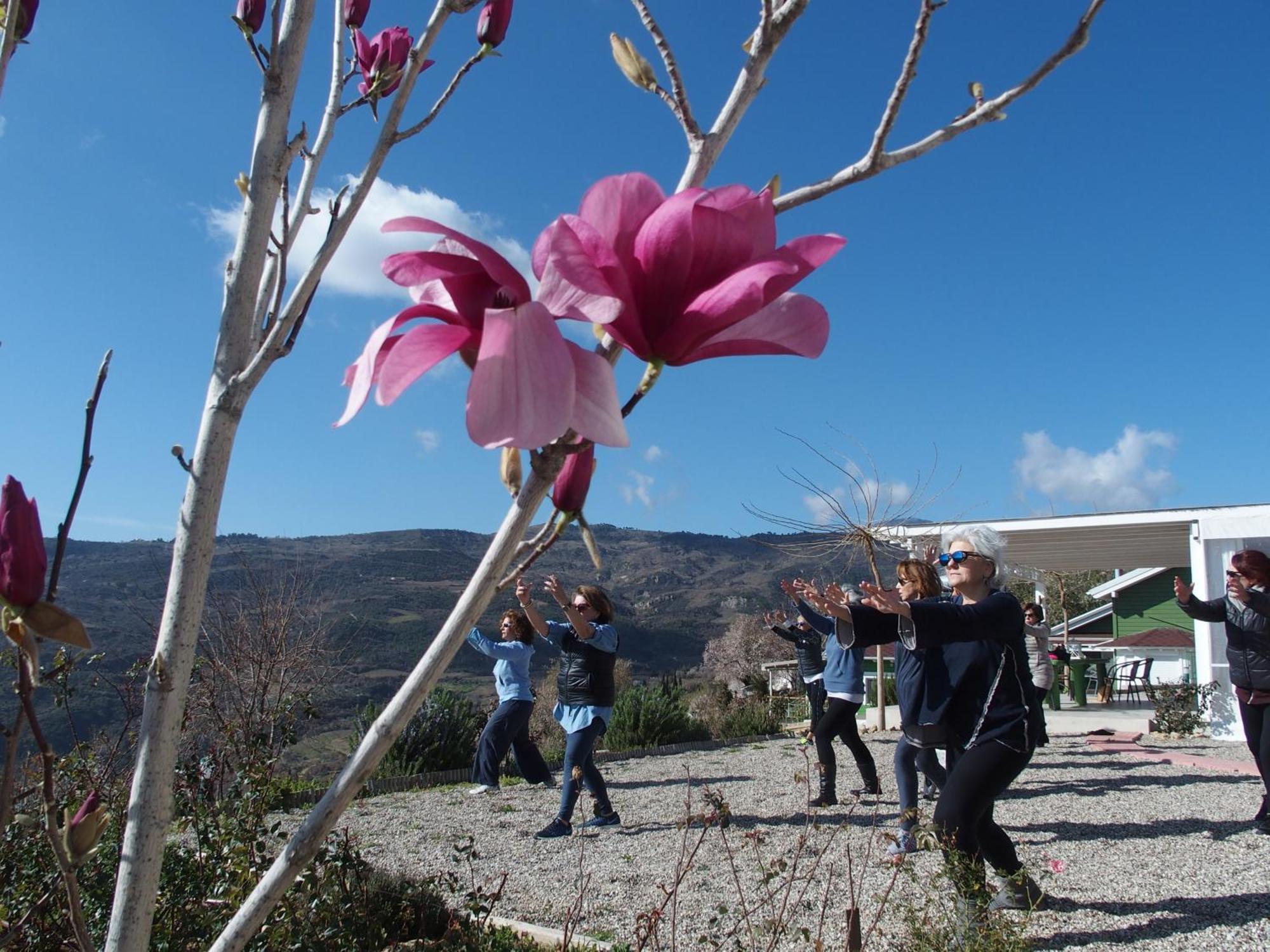 Ktima Noosfera Wellness & Retreat Center Hotel Karya Kültér fotó