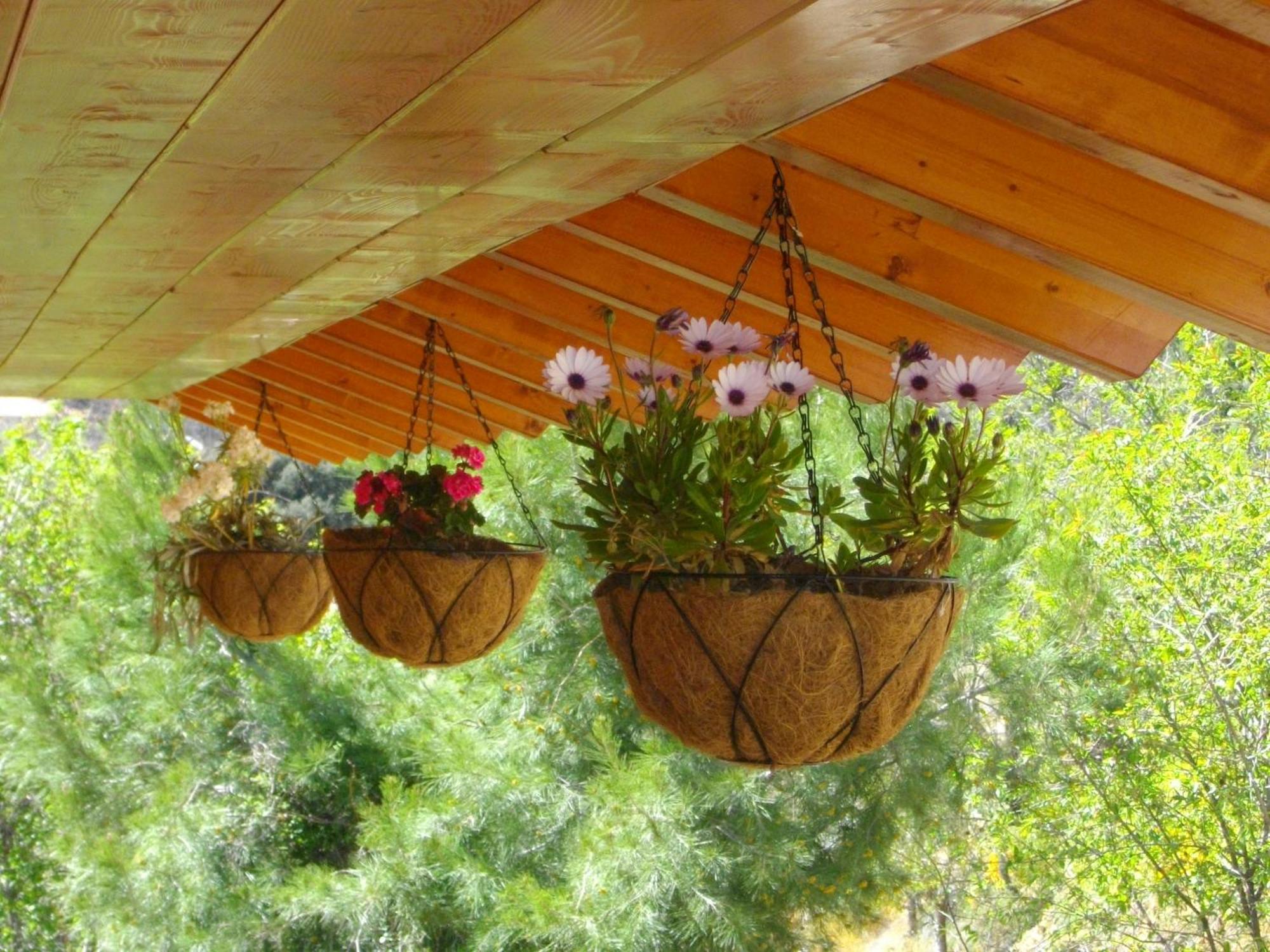 Ktima Noosfera Wellness & Retreat Center Hotel Karya Kültér fotó