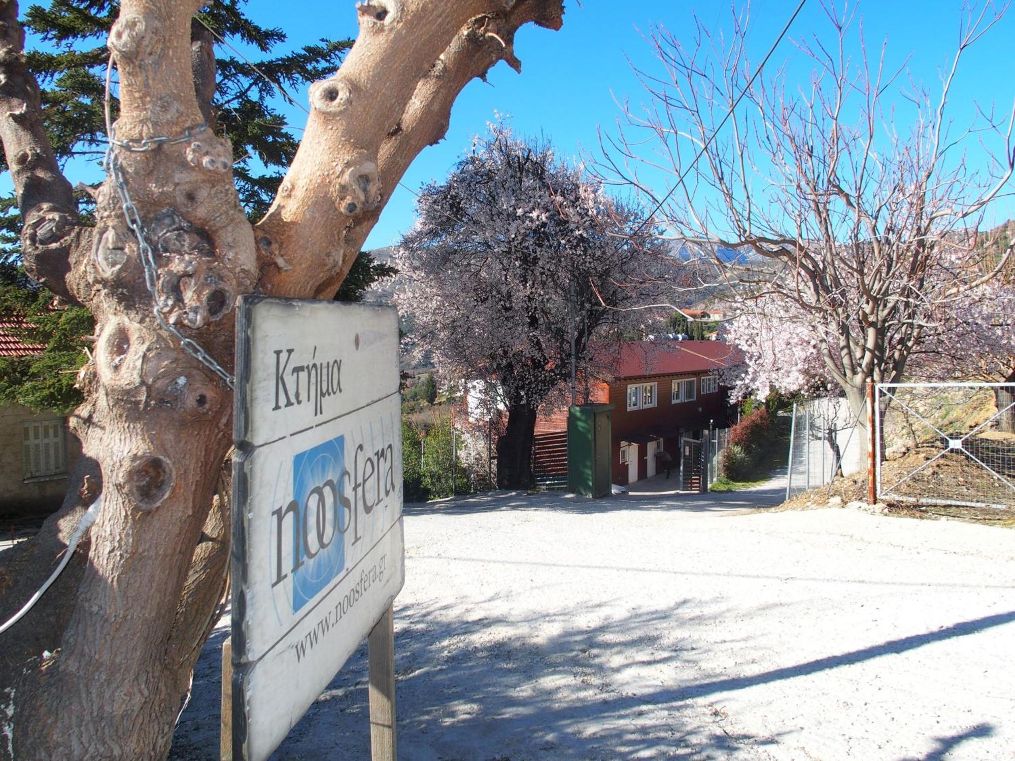 Ktima Noosfera Wellness & Retreat Center Hotel Karya Kültér fotó