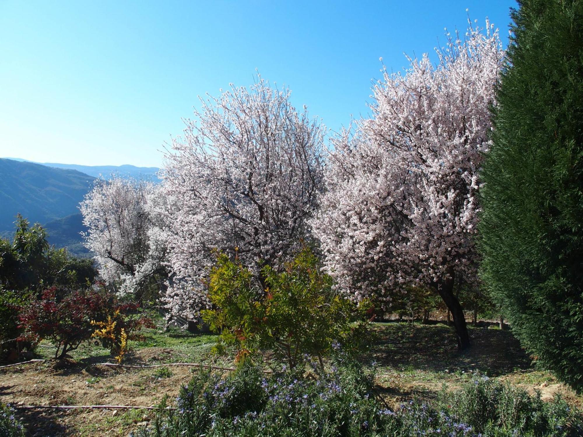 Ktima Noosfera Wellness & Retreat Center Hotel Karya Kültér fotó