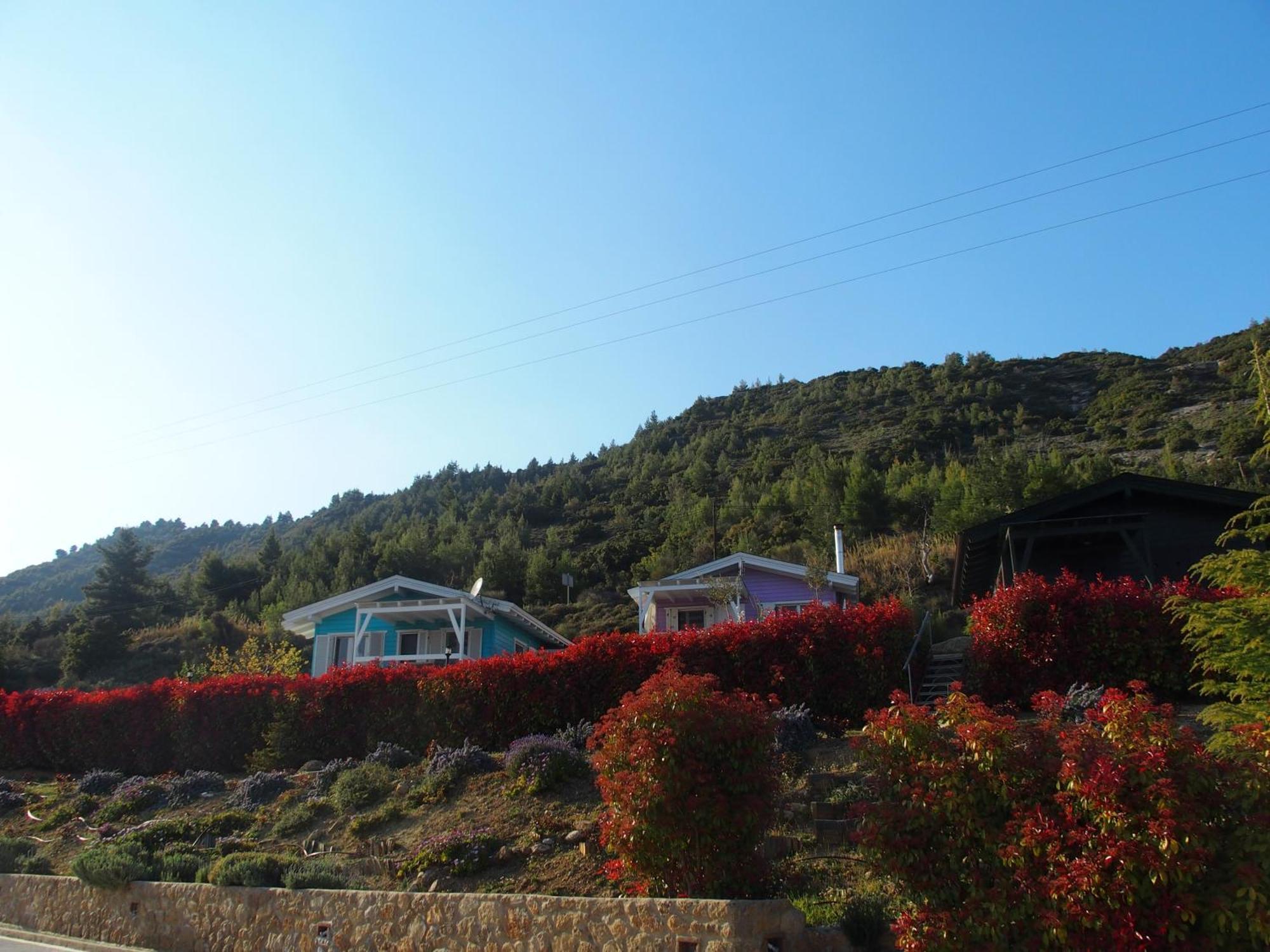 Ktima Noosfera Wellness & Retreat Center Hotel Karya Kültér fotó
